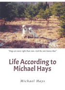 Life According to Michael Hays