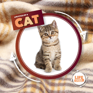 Life Cycle Of A Cat