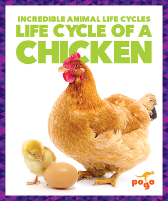 Life Cycle of a Chicken - Kenney, Karen