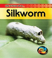 Life Cycle of a Silkworm