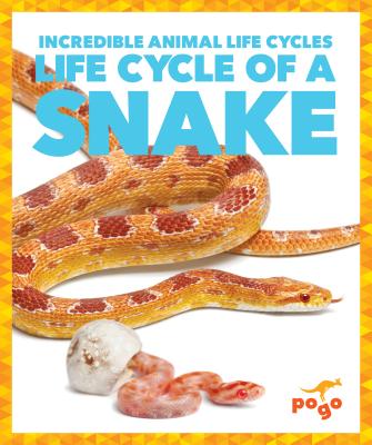 Life Cycle of a Snake - Kenney, Karen