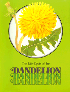 Life Cycle of the Dandelion