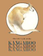 Life Cycle of the Kangaroo