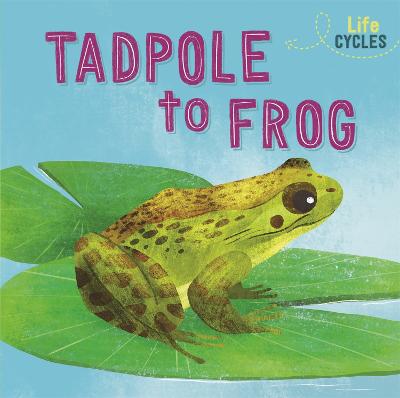Life Cycles: From Tadpole to Frog - Tonkin, Rachel
