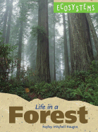 Life in a Forest