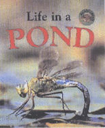 Life in a Pond