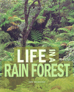 Life in a Rain Forest