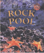 Life in a Rock Pool - Oliver, Clare