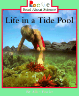 Life in a Tide Pool