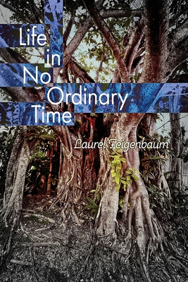 Life in No Ordinary Time - Feigenbaum, Laurel