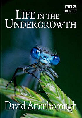 Life in the Undergrowth - David Attenborough Productions Ltd