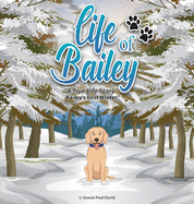 Life of Bailey: Bailey's First Winter