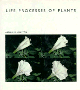 Life Processes of Plants
