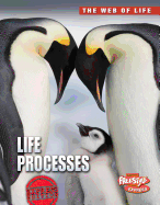 Life Processes