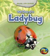 Life Story of a Ladybug