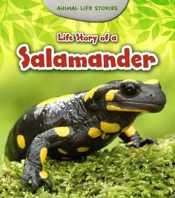 Life Story of a Salamander - Guillain, Charlotte
