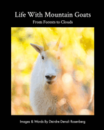 Life With Mountain Goats: From Forests To Clouds