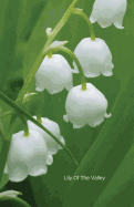 Lily of the Valley: Journal