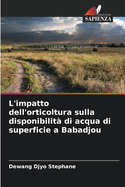 L'impatto dell'orticoltura sulla disponibilit? di acqua di superficie a Babadjou