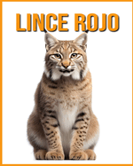 Lince rojo: La gua esencial de este increble animal con fotos increbles