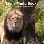 Lions Photo Book: 14 Beautiful, High-Resolution, 2-Page Spreads of Lions