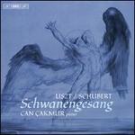 Liszt/Schubert: Schwanengesang