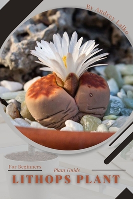 Lithops Plant: Plant Guide - Lalko, Andrey