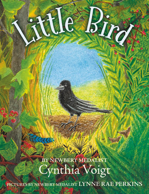 Little Bird - Voigt, Cynthia
