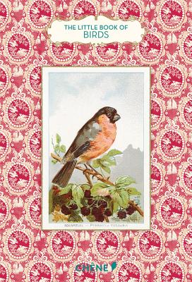 Little Book of Birds - Jankeliowitch, Anne