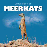 Little Book of Meerkats
