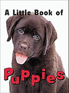 Little Book of Puppies