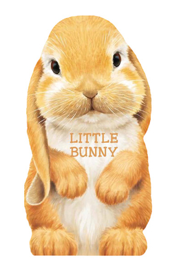 Little Bunny - 