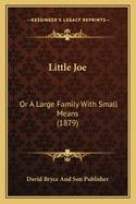 Little Joe: Or a Large Family with Small Means (1879)