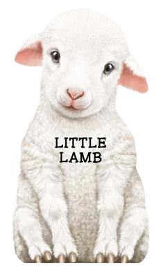 Little Lamb - 