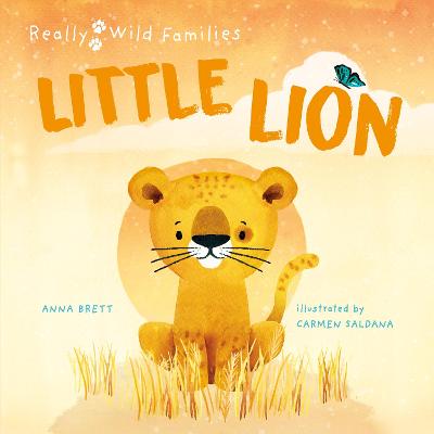 Little Lion: A Day in the Life of a Lion Cub - Brett, Anna