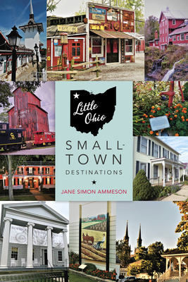 Little Ohio: Small-Town Destinations - Ammeson, Jane Simon