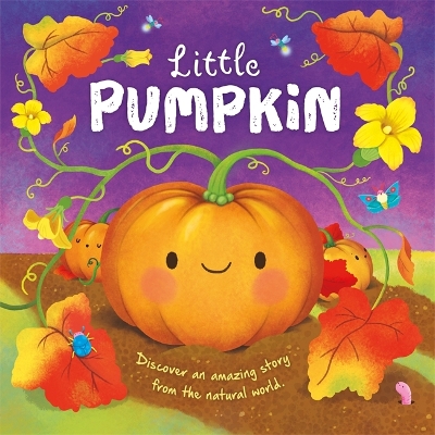 Little Pumpkin - Autumn Publishing