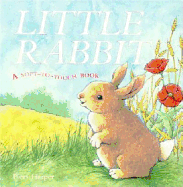 Little Rabbit: A Soft-to-Touch Book