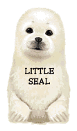 Little Seal