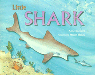 Little Shark