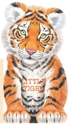 Little Tiger - 