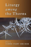 Liturgy Among the Thorns: Essays on Worship in the Reformed Church in America