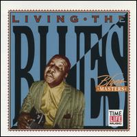 Living the Blues: Blues Masters - Various Artists