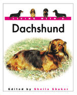 Living with a Dachshund