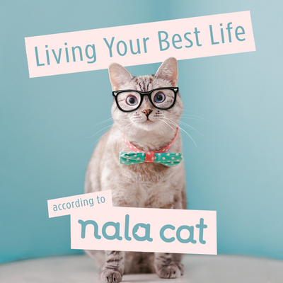 Living Your Best Life According to Nala Cat - Cat, Nala