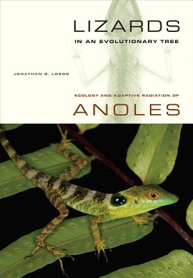 Lizards in an Evolutionary Tree: Ecology and Adaptive Radiation of Anoles - Losos, Jonathan, and Greene, Harry W. (Foreword by)