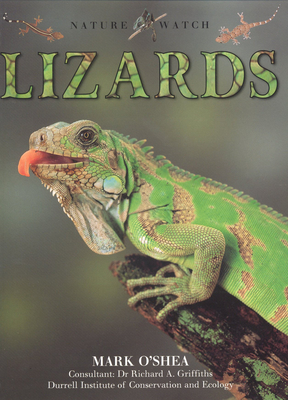 Lizards - Dennard, Deborah, B.A., B.M.