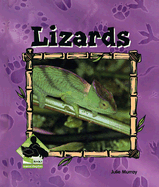 Lizards