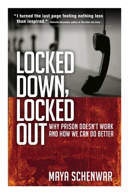 Locked Down, Locked Out: Why Prison Doesn't Work and How We Can Do Better - Schenwar, Maya