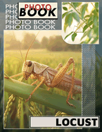 Locust Photo Book: Exploring 40 Intriguing Images Of Locusts For Nature Enthusiasts And Insect Lovers